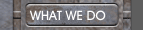 WHAT WE DO