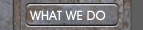 WHAT WE DO